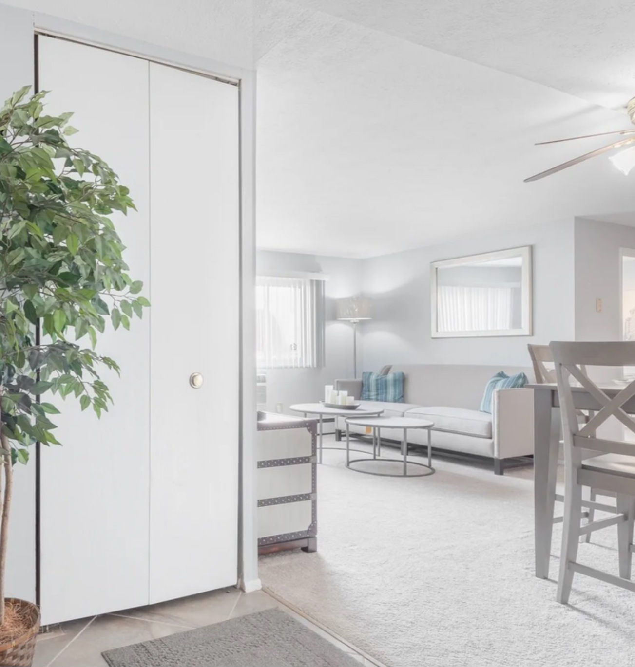 a room with a table flowers plants and chairs